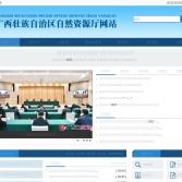 广西壮族自治区自然资源厅网站
